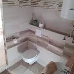 Boglarka Horgasznyaralo בית נופש Gyomaendrőd